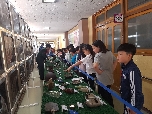 대구 교동초등학교(2017.4.21) 대표 이미지