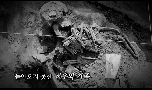 호국보훈의달 프로젝트 영상 『그들을 조국의 품으로』