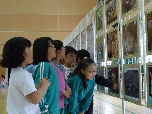 유해발굴사진을 관람하는 학생('11.5.16 울산 동부초) 대표 이미지