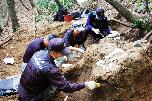 JPAC 합동발굴 대표 이미지