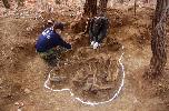6.25 전사자 유해발굴 (경남 마산 봉암리 326고지) 대표 이미지
