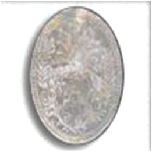 동전·주화 대표 이미지