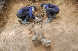 6.25 전사자 유해발굴 (인제군 남북리) 대표 이미지