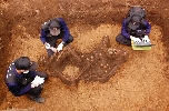6.25 전사자 유해발굴 (철원 자등리) 대표 이미지