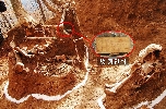 신원확인 가능 호국용사 유해발굴 (故정연식, 양구 수리봉) 대표 이미지