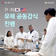 한.미 유해 공동감식 진행 대표 이미지