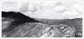 폭탄에 의한 황폐화 된 고지의 모습 (1953. 7월,휴전협정 전 피의능선)